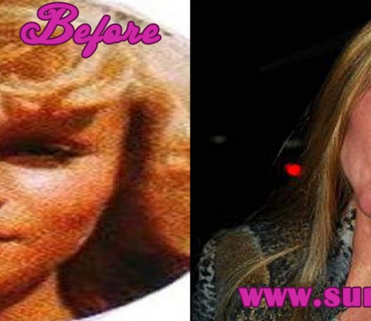 Jocelyn Wildenstein Before and After